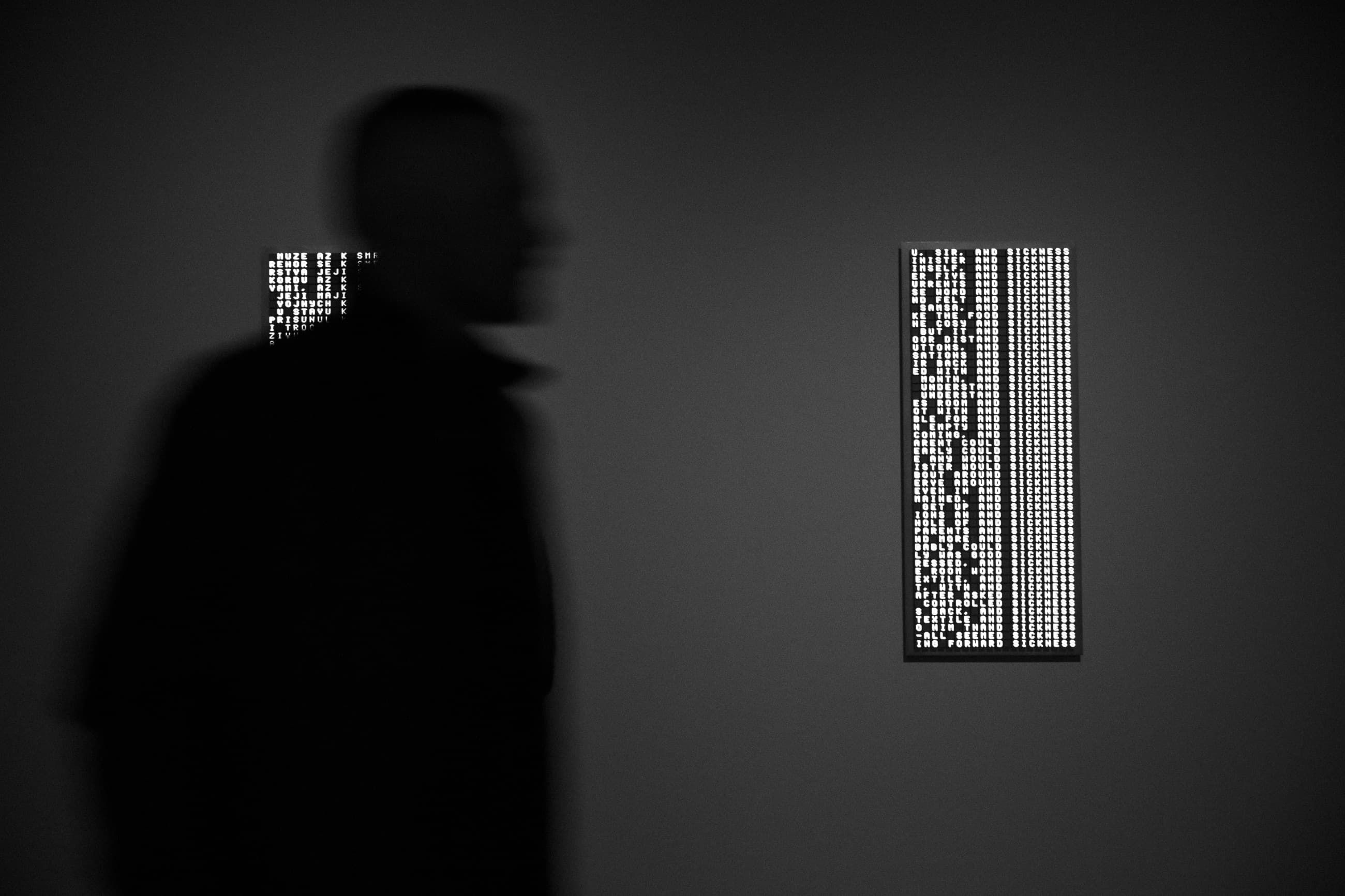 Strange Attractions with Petr Koubský and curator Iva Polanecká (CZE)