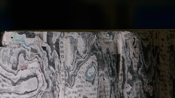 Members' Preview: The Call of the Forest