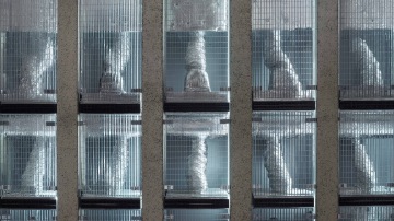 Open House: Komentovaná prohlídka budovy a jejího zákulisí