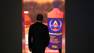 Guided Tour: Alice Bucknell with Richard Loskot (CZE)