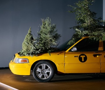 Kristyna and Marek Milde: The Call of the Forest