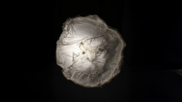 Komentovka: ALL THINGS DIGESTING