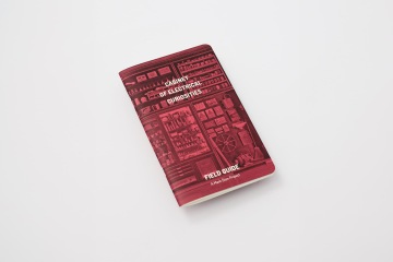 MARK DION: CABINET OF ELECTRICAL CURIOSITIES