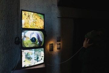 KunstKino: The Vasulka Effect (2019)