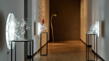 Guided Tour: Memory of Touch + The Battle Between YES and NO (CZE)