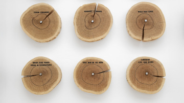 Members' Preview of Roman Ondak: The Day After Yesterday