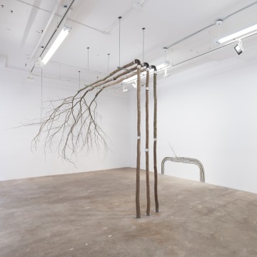 In-Tree-Net, 2023; pohled do sólové výstavy Vodivá pole, galerie HESSE FLATOW, New York; habrové dřevo, instalatérské spoje; s laskavým svolením Kristyny a Marka Milde, foto: Jenny Gorman