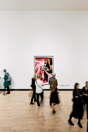 one large photograph depicting an asian man marrying a donkey, mostly pink-ish