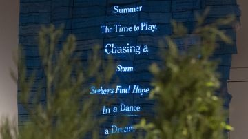 Komentovka: Volání lesa s biologem Martinem Hůlou