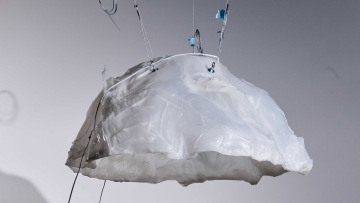 ALL THINGS DIGESTING WITH SCHOOL