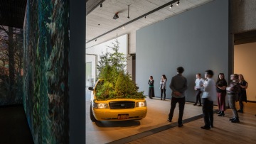 Exhibitions Tours Without Reservation (CZE)