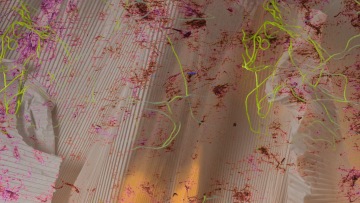 Members' Exhibition Preview: Czech Grand Design